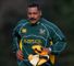 Lions scout