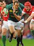 Fourie du Preez