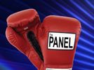 The Panel