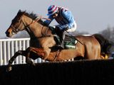 Breedsbreeze (IRE)