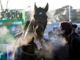 Hurricane Fly (IRE)