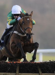 Binocular looks pure class