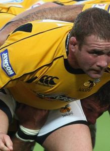 Vickery to extend Wasps stay