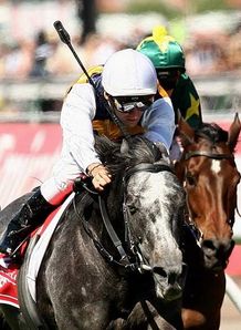 Cumani cleared over Bauer 