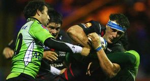 Heineken Cup