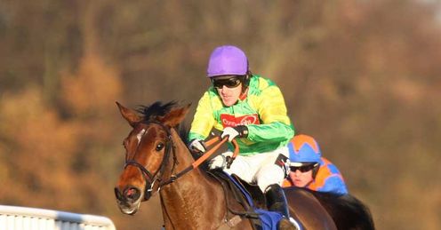 master minded tingle creek