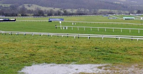 racing waterlogged cheltenham