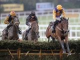Brave Inca (IRE)