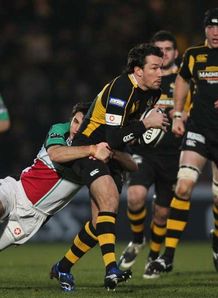 Wasps stand firm