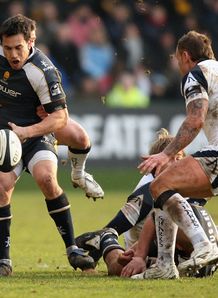 Sharks earn Sixways bonus Sharks earn Sixways bonus