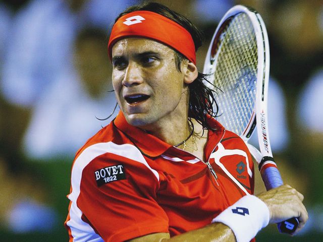 (11) David Ferrer