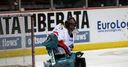 EIHL All Star team