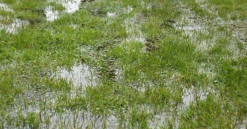 waterlogged track generic racing