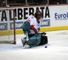 EIHL All Star team