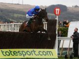 Cappa Bleu (IRE)