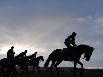 Early-morning action in the Cotswolds.