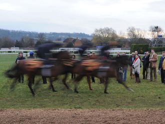 The thrill of speed on the gallops.
