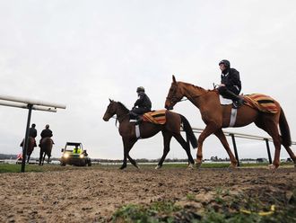 Horses go out for early-morning work.