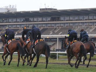 Horses canter in the shadow of the Cheltenham stands.
