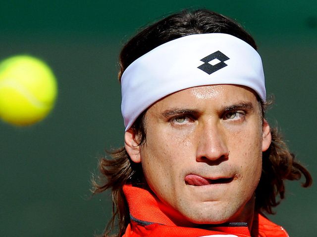 (14) David Ferrer