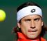 (14) David Ferrer