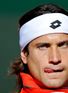 (14) David Ferrer