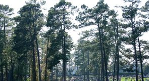 Augusta was packed out on Thursday