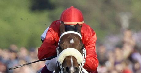 sky-bet-caytering-for-success