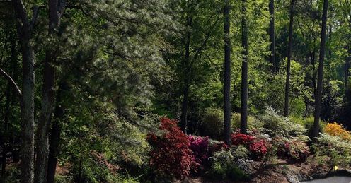 Augusta National - Americans can see it soon in 3D.