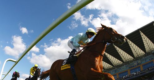 All about Ascot