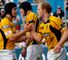 Tough task for Wasps