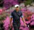 Masterful Tiger?