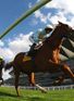 All about Ascot