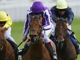 Drumbeat (IRE)
