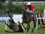 Jumbo Rio (IRE)
