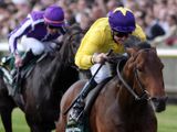 Sea The Stars (IRE)