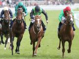 South Easter (IRE)