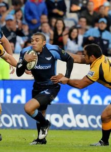 Bulls - Habana has joined WP