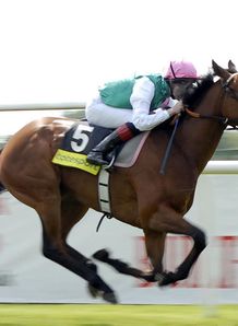 Midday strikes for Cecil