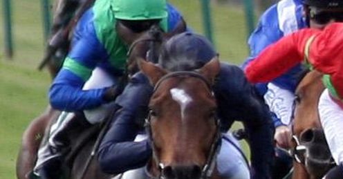 Rip Van Winkle Guineas