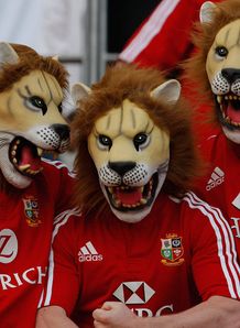 Lions Fans