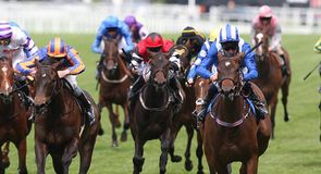 Royal Ascot Day Four