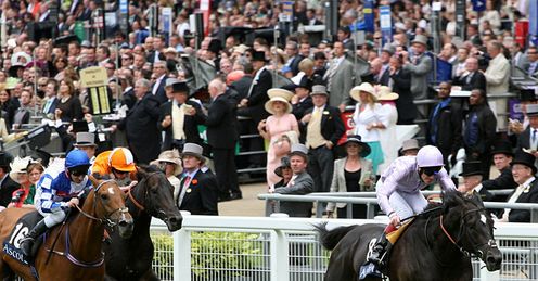 Forgotten Voice Royal Hunt Cup