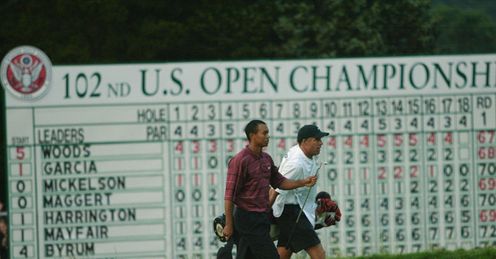 Tiger in action in 2002.