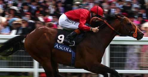 paco boy royal ascot