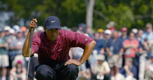 Tiger won't be tamed