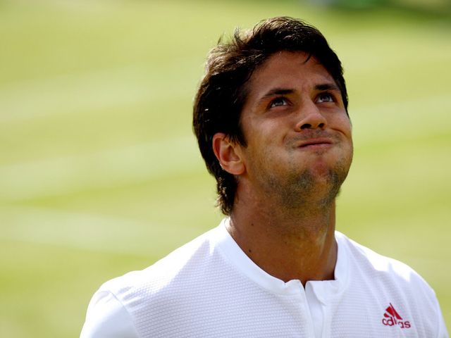 Verdasco: Year to remember