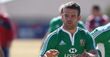 Lions in SA: final preparations