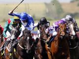 Total Gallery (IRE)