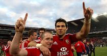 The pride of Lions